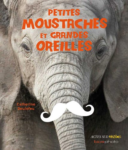 couverture de : Petites moustaches et grandes oreilles