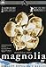 Magnolia [DVD]