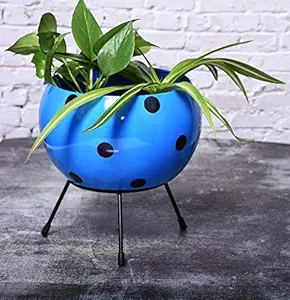 HINS Blue Dotted 10 Inch Polka Metal Round Shape Flower Plant Pot With Stand Metal Pots For Indoor Plants I Elevated Garden Planter I Raised Planter I Desk Plant I Raised Planter Box I Ascent Homes Metal Planter I Raised Planter Box With Legs I Brass Pots For Indoor Plants I Golden Planter I Mid Century Plant Stand I Brass Planters For Indoor Plants I Indoor Plant Stand For Living Room I Metal Planters Pot For Indoor Plants designer pots for indoor plants