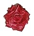 1 Pair of Large Fabric Carmen Roses Flamenco Dancer Hair Clip Slide in Crimson Red and Black