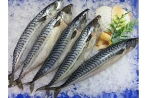 IHR FACHGESCHÄFT KLAASSEN Klaassen Makrele, zum selber Räuchern, gesalzen, 1200g