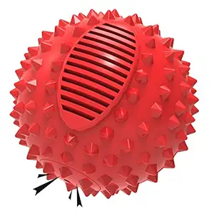 PETIZER Squeaky Dog Ball Toy?for Aggressive Chewers,4 Inches Indestructible?Durable?Big Dogs Chew Spiky Ball, Floatable Rubber Pet Toys for Medium &Large Breeds