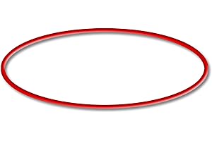 SunSun Ersatzteil für CUV 300er und 600er Serie Teichklärer – O-Ring – für Teichfilter, UV Leuchtmittel, UVC Klärer Zubehör