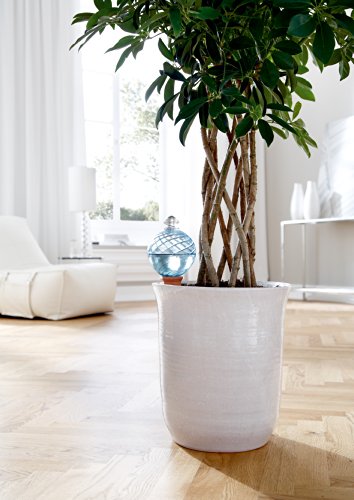 Bio Green Bewässerung Hydro Deko Gießkugel aqua - 2