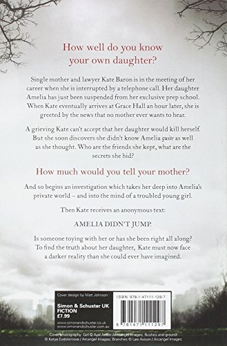 Book's Cover of Reconstructing Amelia-