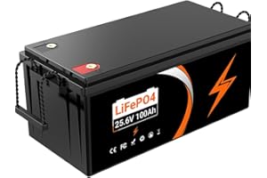 HXRFOAK Batteria LiFePO4 24V 100Ah 2560Wh con protezione dalle basse temperature- batteria da 15000 cicli - di potenza di carica - per camperistiche solari marine di trasporto terrestre (24V 100Ah Lifepo4)