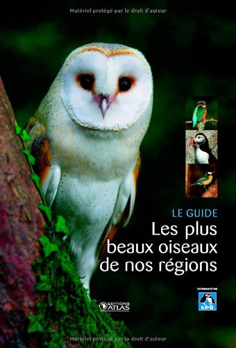 couverture de : Les plus beaux oiseaux de nos r&eacute;gions