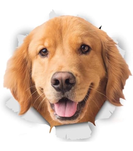 Autocollant Voiture Yorkshire Terrier 25cm 3D Déchiré Métal - Autocollant Chien Étanche