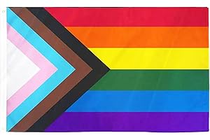 Ainmto 90x150cm Fortschritt Stolz Regenbogen Flagge - LGBT Flagge für Pride-Events