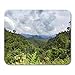 Produktbild Luancrop Mausunterlage Blauer Landschaftsregenwald Nationalparks Khao Sok Mousepad für Notizbücher, Tischrechner-Mausunterlagen, Bürozubehöre