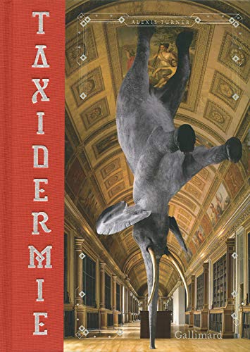 Taxidermie Taxidermie