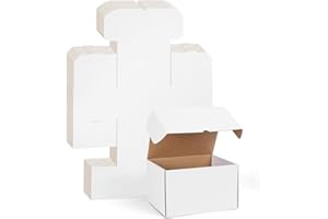 RLAVBL Boîte Carton Expédition 25.4x20.3x15.3 cm, Lot de 15 Boîtes Carton en Blanche