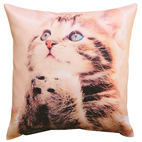 Zauberhafter Kissenbezug " SÜSSE KLEINE KATZE " - trendiger Fotoprint - Größe Kissenhülle 40 x 40 - hier im KAMACA-SHOP sind auch weitere Fotodruck - Kissen erhältlich