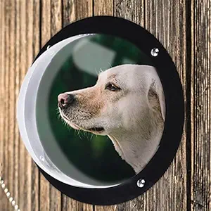 GIANTE Yard Pet Dog Fence Window Cat Peek Bubble Acrylic Clear Dome Window House