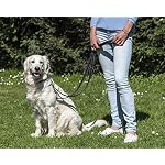 Guinzaglio-cani-doppio-regolabile-nylon