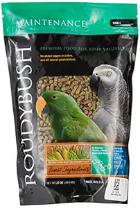 Roudybush Daily Maintenance Bird Food For Dwarf Macaw, Eclectus, African Grey, Pionus, Conure, Rosella, Senegals & Lory (Small) - 624g, 22 Ounce (Pack of 1)