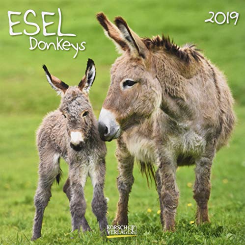 Télécharger Esel 2019. Broschürenkalender: Broschürenkalender mit Ferienterminen Livre eBook France