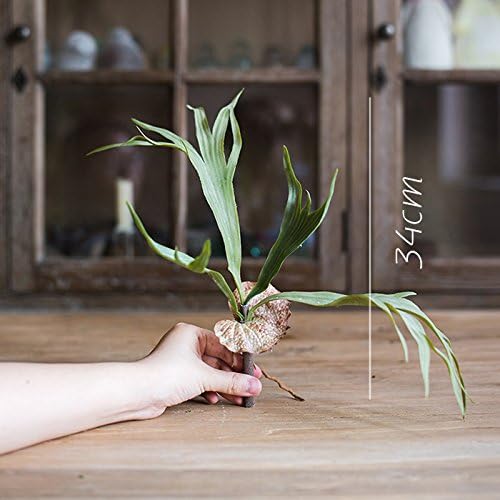 ZHUDJ Large Antlers Fern Grass Artificial Flower Decoration Tropical Plants Green-Shik Wall Suspended Landscaping Displayed, Where Only A Small Number Of Fern Antlers