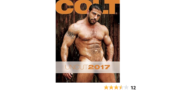 Colt Uncut 2017 Calendar Amazon De Colt Studio Group Fremdsprachige Bucher
