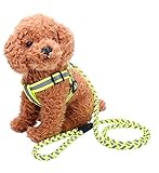 Arnés y juego de cables para ayudarle a entrenar a los perros que tiran