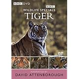 Wildlife Specials: Tiger [DVD]