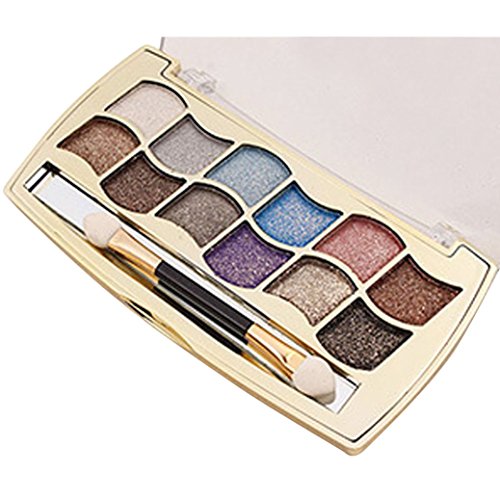 WINWINTOM Pro 12 Colors Eyeshadow Shimmer Palette & Cosmetic Brush Makeup Set (B)