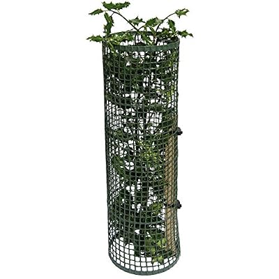 Tubex Pack de 4 TREEGUARD Arbuste/arbre Grille de protection Tube 60 cm, Ø 150–180 mm, vert, pour le Purgatoire et de protection de verbiss