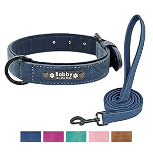 Didog – Collar de Perro Acolchado de Piel Suave con Placa de identificación Personalizada y Anillo en D, Collares de Perro Grabados para Perros pequeños, medianos y Grandes