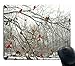 Produktbild Gaming Mouse Pad Custom,Winter Birch Trees and Cardinals Gaming Non-Slip Rubber Large Mouse pad Mat