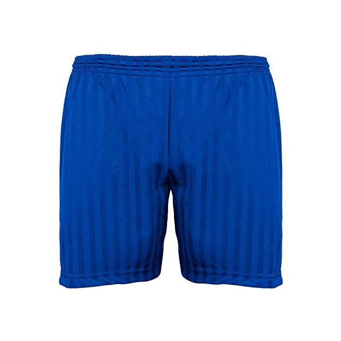 blue stripe pe shorts