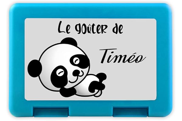 Boîte à goûter personnalisée - Cadeau enfant original - Boîte à pharmacie (Panda)
