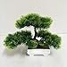 Produktbild LWBAN-Flower Home Decoration Feng Shui Home Hochzeit Dekoration,künstliche Pinien Mit Schale,Höhe ca. 20cm,Green, 14h