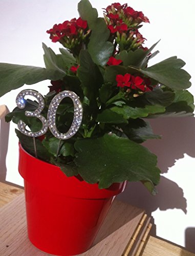 Tortenaufsatz Zahlen Nummern 0 bis 9 echte Strassteine Kuchen Aufsatz Topper Tortendeko Geburtstag Hochzeit Jubiläum Cake Topper Glitzernd Tortenverzierung Dekoration Tortenstecker - 3