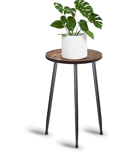 25 X 21 Cm Support Mural Montable Plante De Fer Cintre Suspendre Le