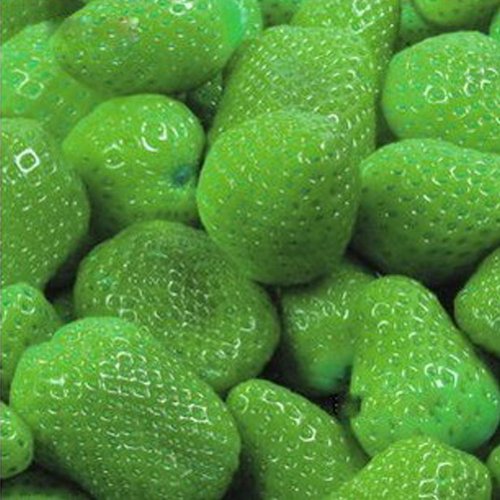 Imixcity New 1 Bag Nutritious Delicious Strawberry Seeds Fruit Garden Farm Plant (Green)