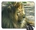 Produktbild Löwe Mauspad, Mousepad (Katzen Mauspad) #001
