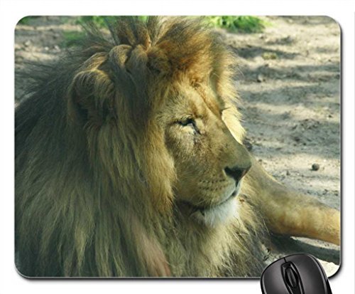 Preisvergleich Produktbild Löwe Mauspad, Mousepad (Katzen Mauspad) #001