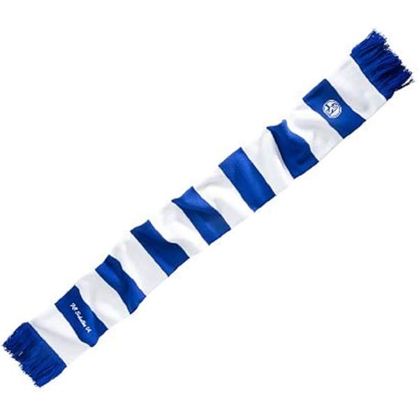 Editar Camisetas De Futbol Schalke 04 (TERODDE #9) 2022/23 Tercera
