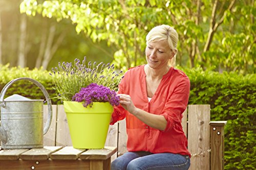 Floragard Bio Balkon- und Kübelpflanzenerde ohne Torf 40 L, torffrei - 2