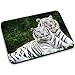 Produktbild Wilde Tiere 10014, White Tiger, Mousepad Anti Rutsch Unterseite für Optimalen Halt Kompatibel mit allen Maustypen (Kugel, Optisch, Laser) Ideal für Gamer und für Grafikdesigner.