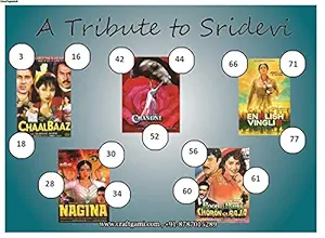 Craftgami - Tribute to Shridevi Tambola Tickets - Housie Tickets (24 Tickets)