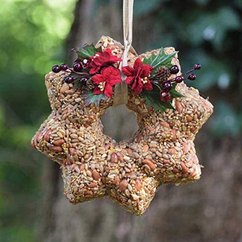 Bird Food Christmas Wreath with Poinsettias | Outdoor  