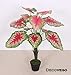 Produktbild Decovego Farbiger Aronstab Araceae Arum Caladium Taro Philodendron Kunstpflanze Künstliche Pflanze mit Topf 70cm