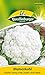 Produktbild Blumenkohl Erfurter Zwerg | Früh | Große, feste Köpfe (Brassica oleracea) Standardsaatgut EG-Norm