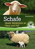 Image de Schafe: Ideale Weidetiere an Haus und Hof (LandLeben)