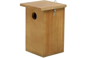 Henry Bell Nest Box, clear