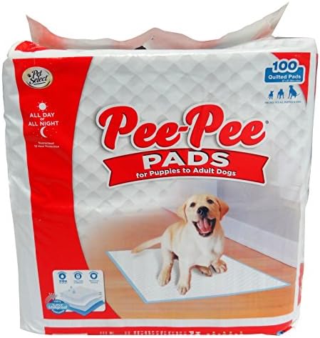 Four PawsPee-Pee Puppy Training Pee Pads 100-Count 22" x 23" Standard Size Pads