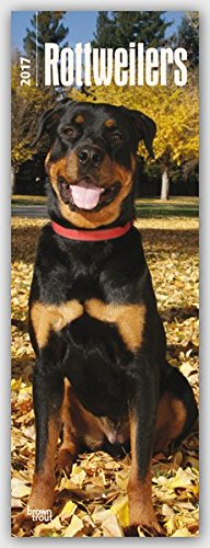Rottweilers - Rottweiler 2017: Original BrownTrout-Kalender - Slimline [Mehrsprachig] [Kalender] (Slimline-Kalender)