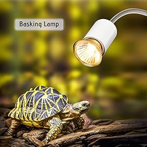 Decdeal Wärmelampe für Aquarium Reptil mit Clip 25W 360 ° Drehbar