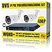 Produktbild DVS Germany - 4 MEGAPIXEL PoE Videoüberwachung Set mit 2 IP PoE Kameras und PoE NVR - DVDH-IPC2SET1 - 2000GB Festplatte